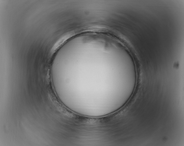 X0000112461362200909071100