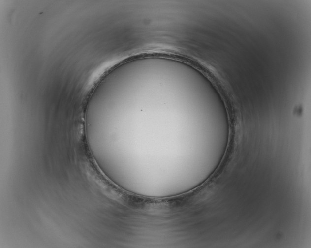 X0000112461363200909071100