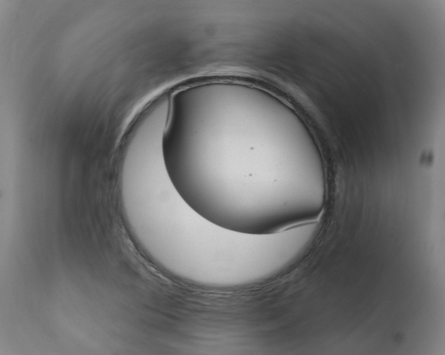 X0000112461364200909071100