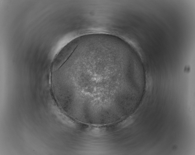 X0000112461365200909071100