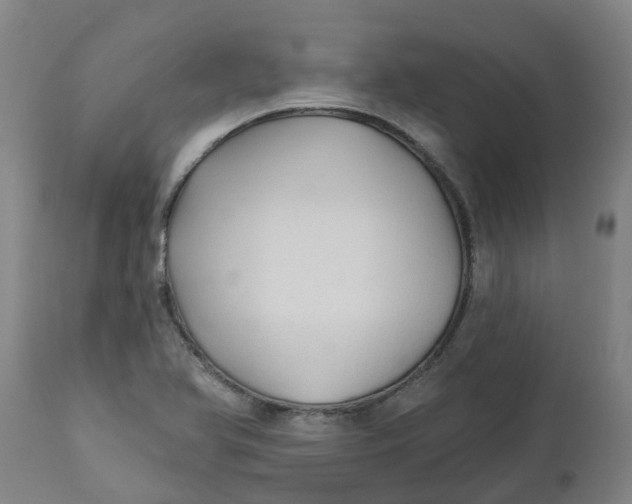 X0000112461366200909071100