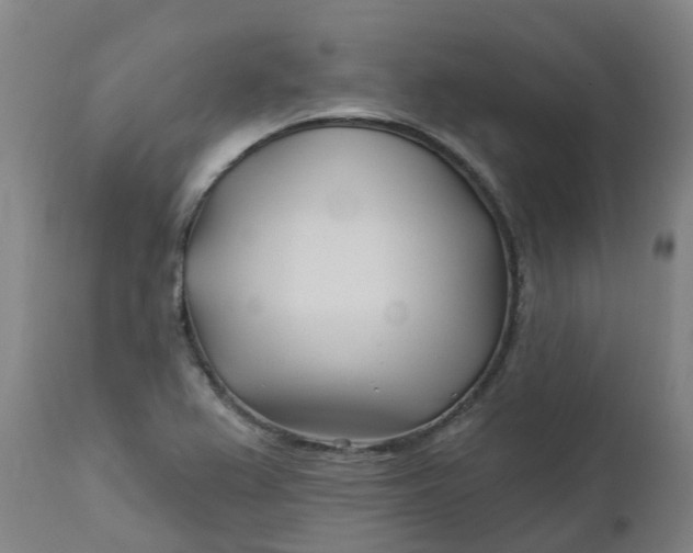 X0000112461367200909071100