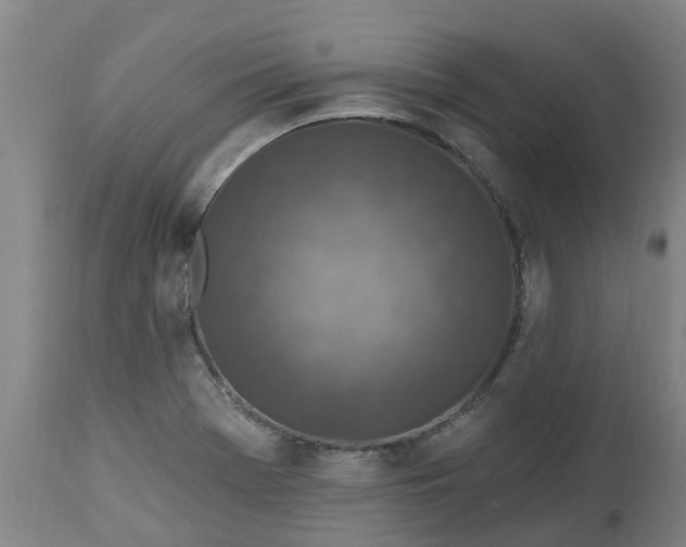 X0000112461369200909071100