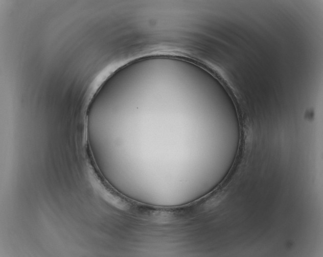 X0000112461371200909071100