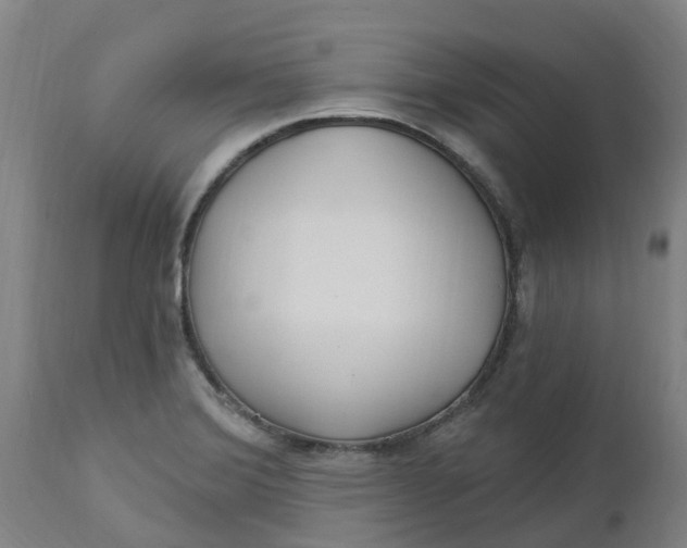 X0000112461372200909071100