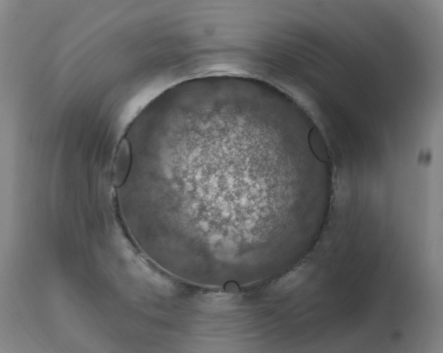 X0000112461373200909071100