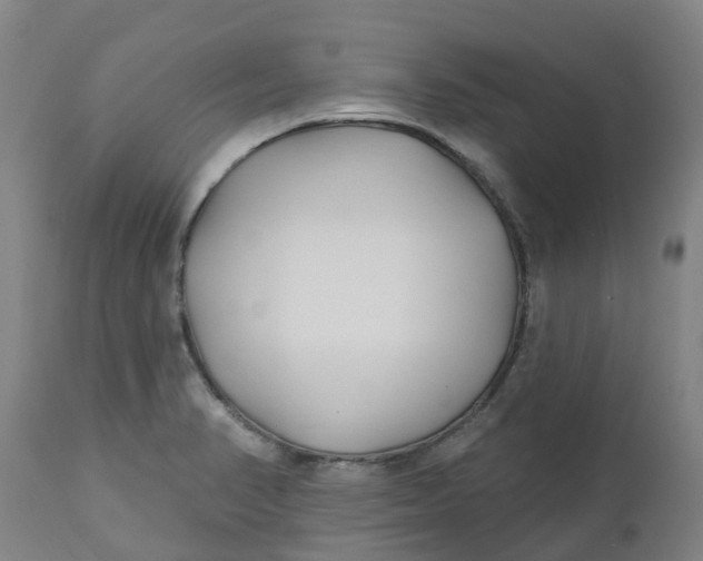 X0000112461374200909071100