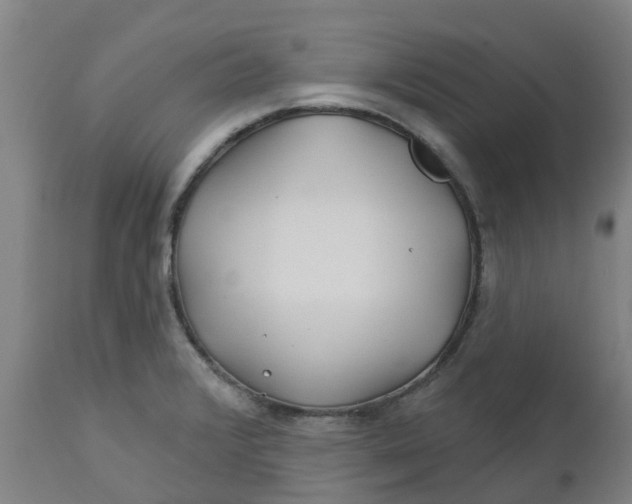 X0000112461376200909071100