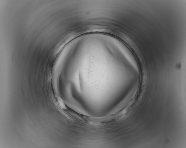 X0000112461377200909071100