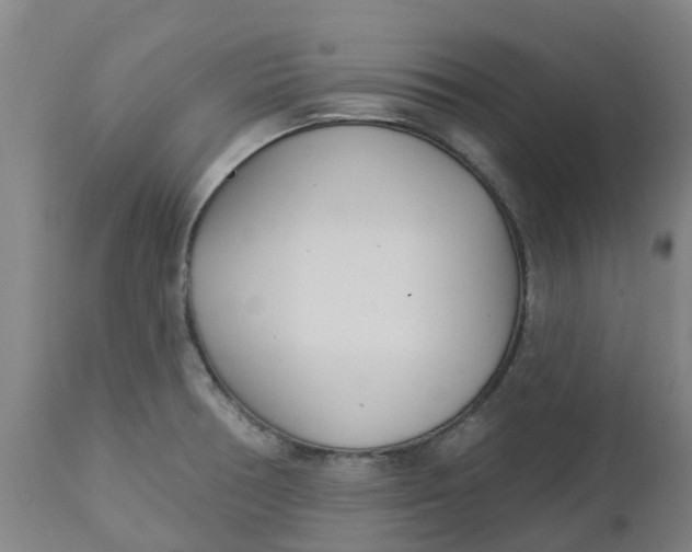 X0000112461378200909071100