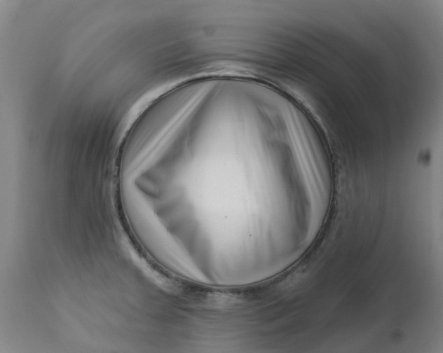 X0000112461379200909071100