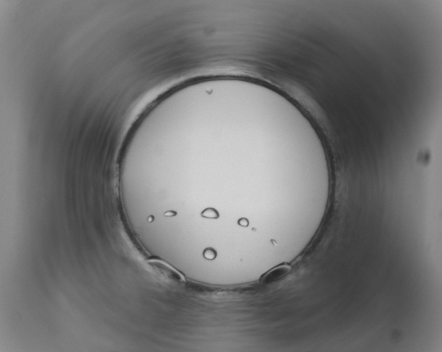 X0000112461380200909071100