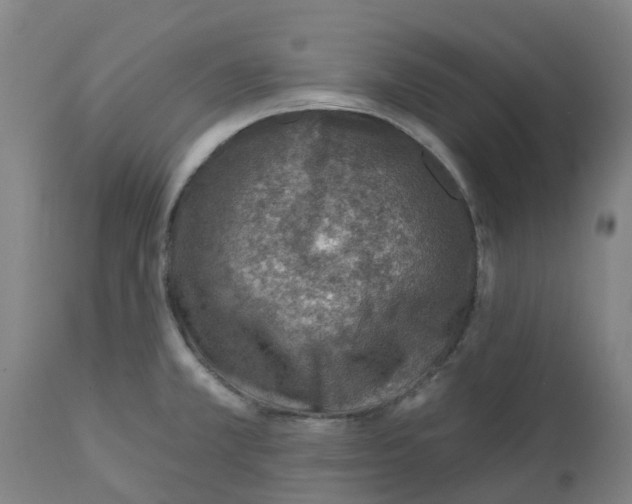 X0000112461381200909071100