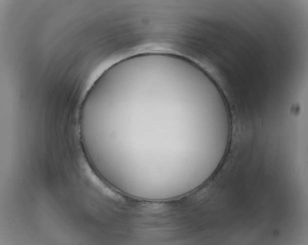 X0000112461382200909071100