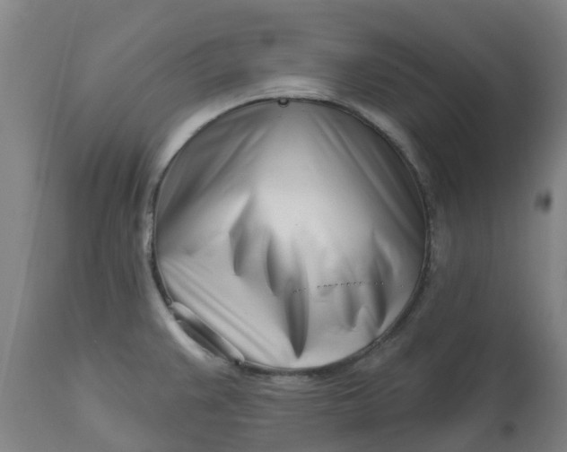 X0000112461383200909071100