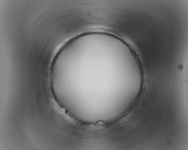 X0000112461384200909071100