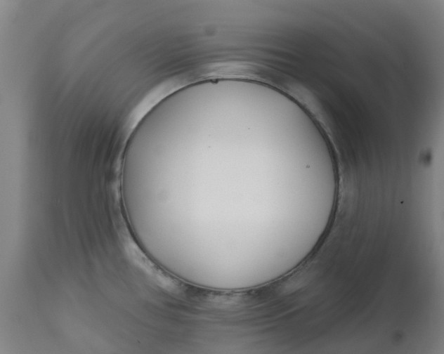 X0000112461386200909071100