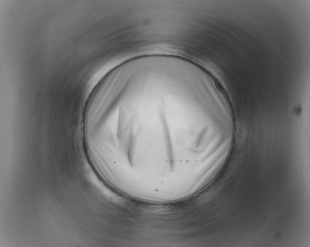 X0000112461387200909071100