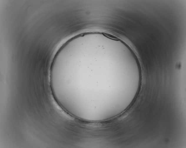 X0000112461388200909071059