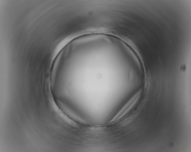 X0000112461389200909071059