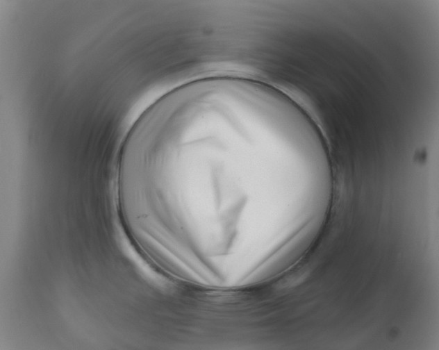 X0000112461391200909071059