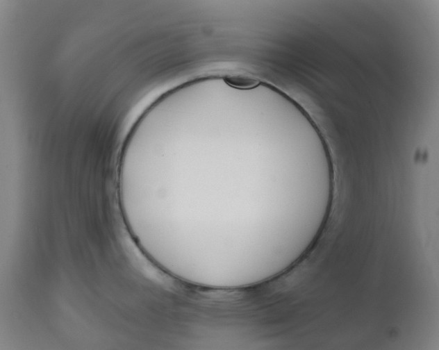 X0000112461392200909071059