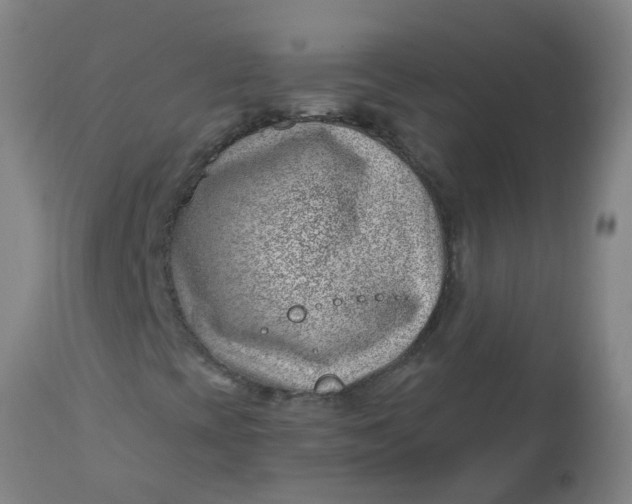 X0000112461393200909071059