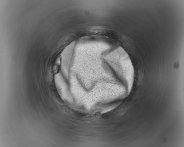 X0000112461394200909071059