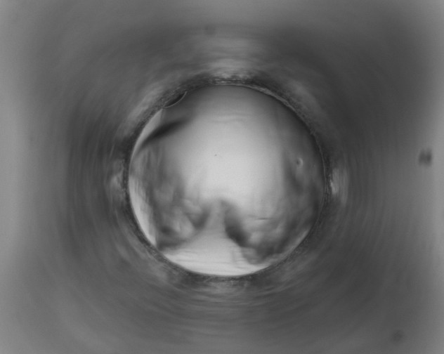 X0000112461396200909071059