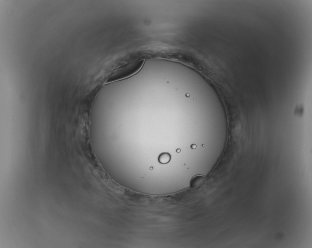 X0000112461397200909071059