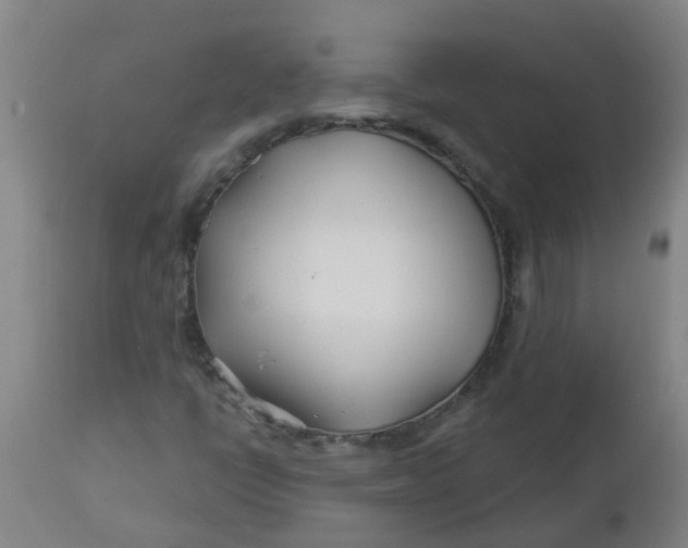 X0000112461398200909071059