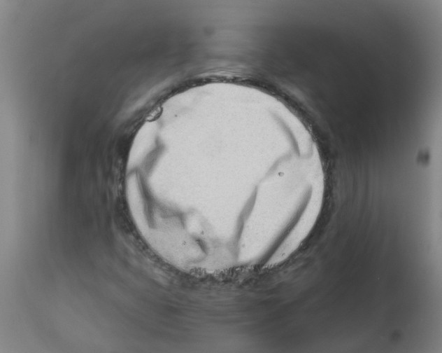 X0000112461399200909071059