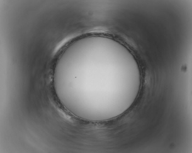 X0000112461400200909071059