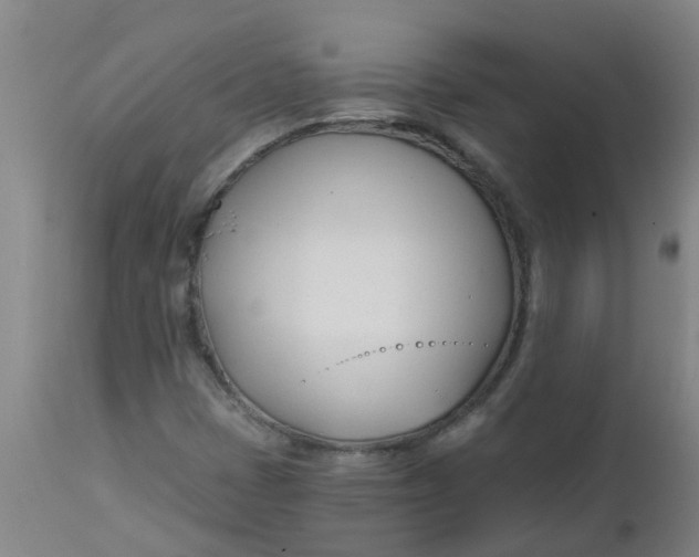 X0000112461401200909071059