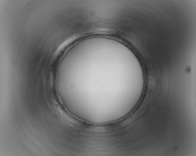 X0000112461402200909071059