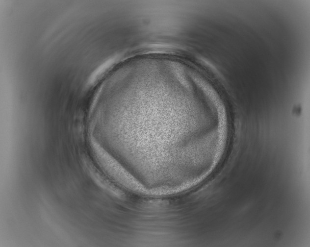 X0000112461403200909071059