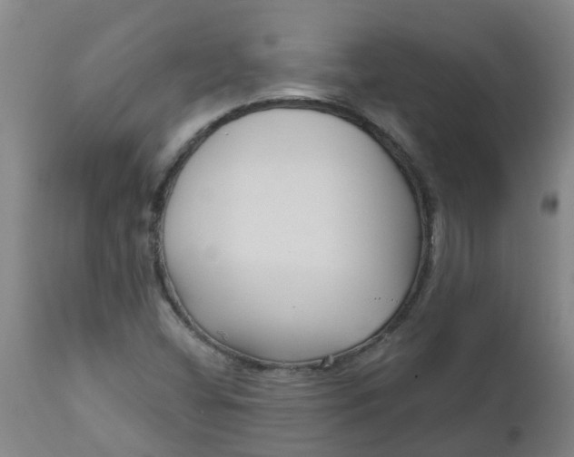 X0000112461404200909071059