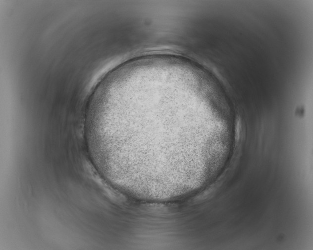 X0000112461405200909071059