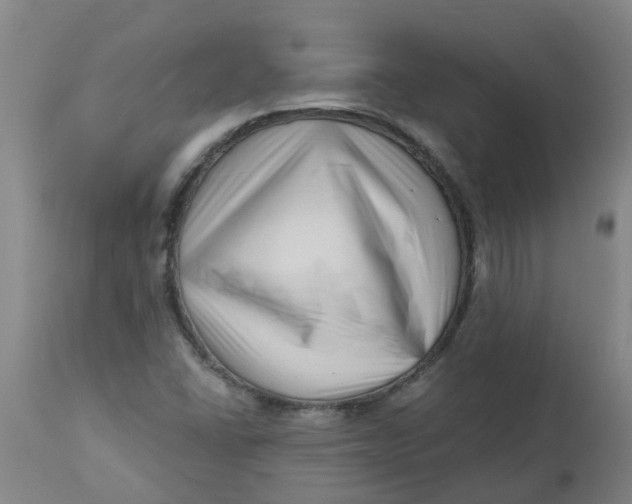 X0000112461406200909071059