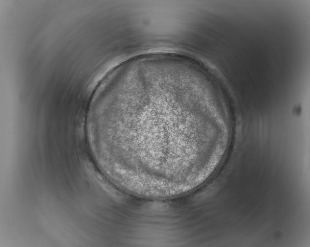 X0000112461409200909071059