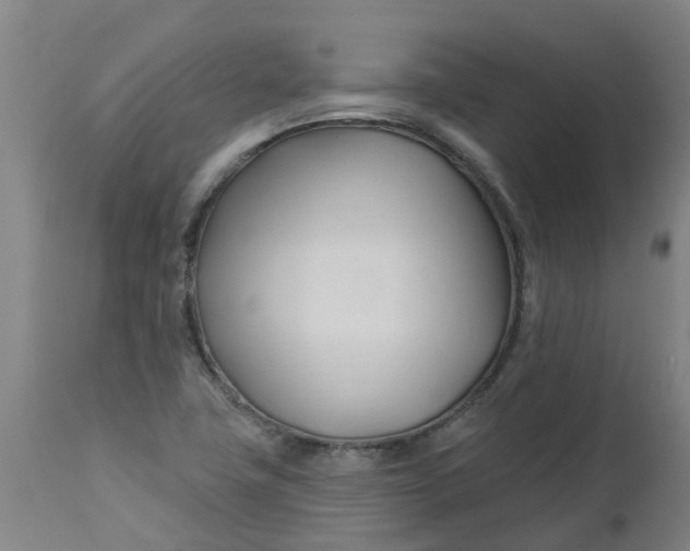 X0000112461411200909071059