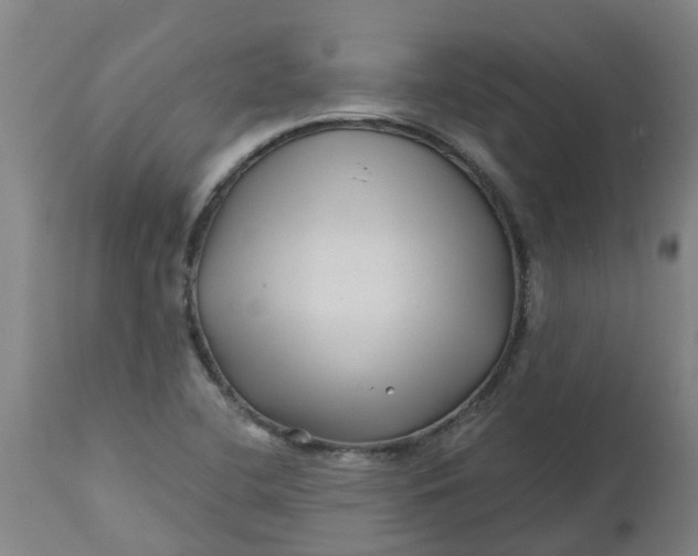 X0000112461412200909071059