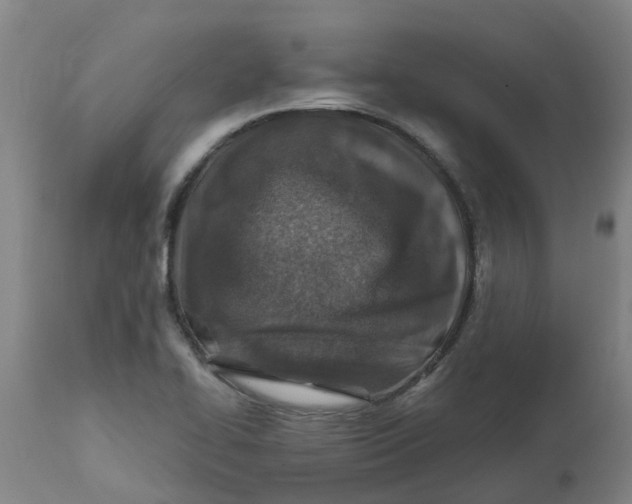 X0000112461414200909071059