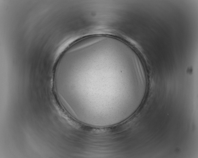 X0000112461415200909071059