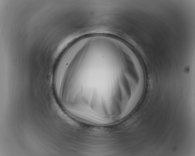 X0000112461416200909071059