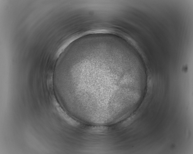 X0000112461417200909071059