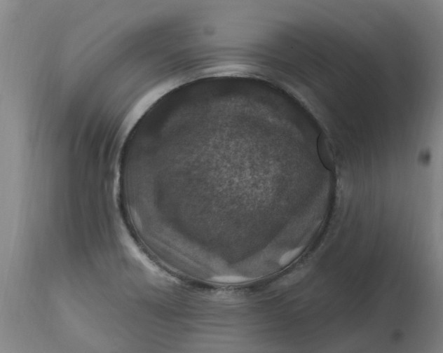 X0000112461418200909071059