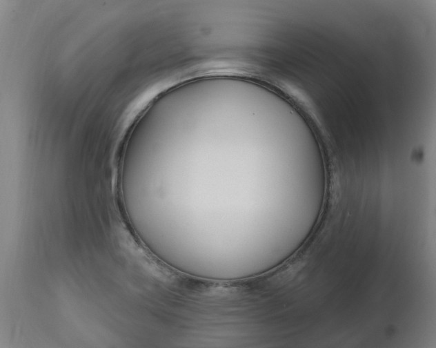 X0000112461419200909071059