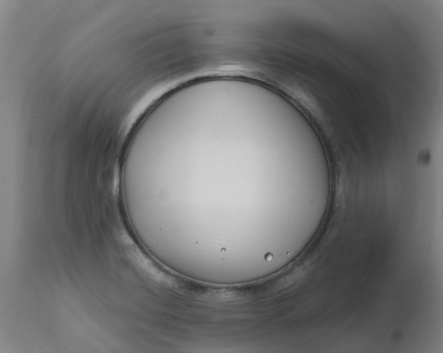 X0000112461420200909071059