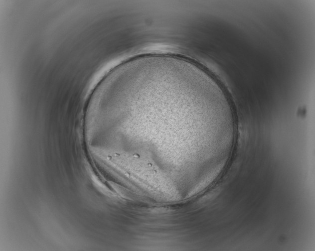 X0000112461421200909071059